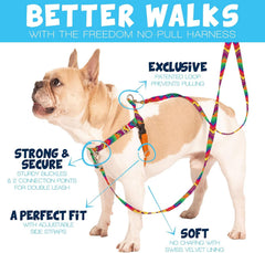 2 Hounds Design Freedom No-Pull Harness back view showing full fitting and control