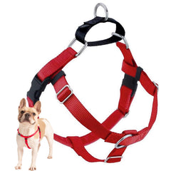 2 Hounds Design Freedom harness with front O-ring for safe control