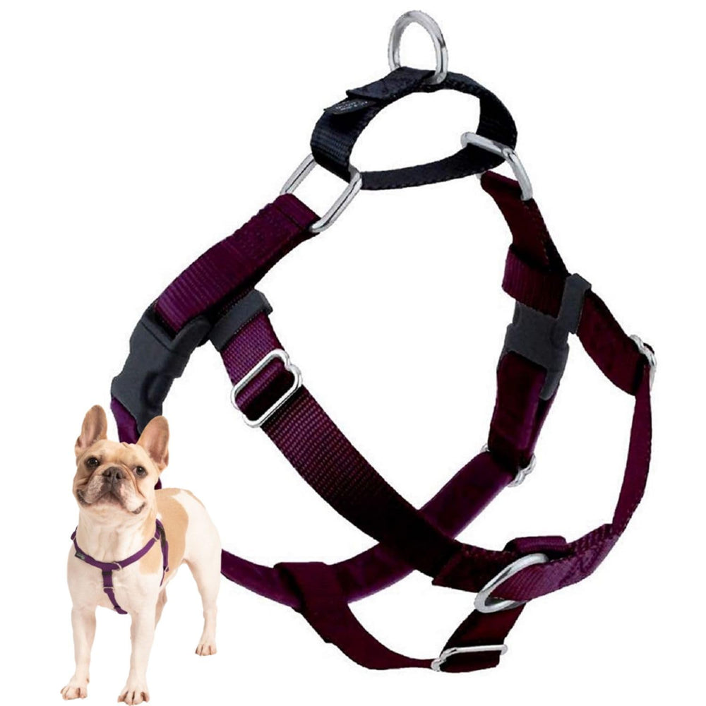 2 Hounds Design Freedom No Pull Harness front view for secure, comfortable walks.