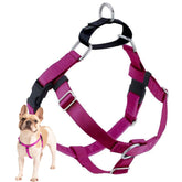 2 Hounds Design Freedom No Pull Harness front view demonstrates effortless walking and control.