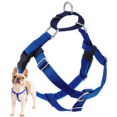 2 Hounds Design Freedom no-pull harness front O-ring for steady leash control.
