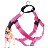 2 Hounds Design Freedom No Pull Harness front ring detail supports improved leash guidance