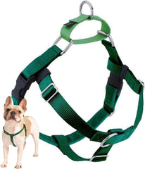 2 Hounds Design Freedom no pull harness front D-ring for confident control on walks.
