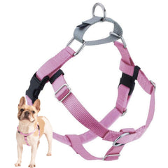 2 Hounds Design Freedom No Pull Harness front view balanced fit for smoother daily walks.