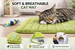 2ME Washable Pet Bed Mat with non-slip bottom stays in place during naps.
