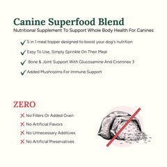 Dog eating with 360 Pet Nutrition Canine Superfood Blend as meal topper