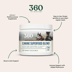 Close-up of 360 Pet Nutrition Canine Superfood Blend powder texture for digestion support