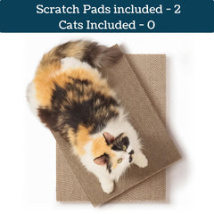 5609PETS double-sided scratch pad ready for extended scratching sessions.