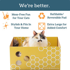 5609PETS easy, tool-free assembly ships flat and unfolds in minutes.