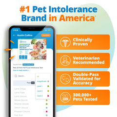 5Strands hair sample collection for dogs and cats enables at-home testing