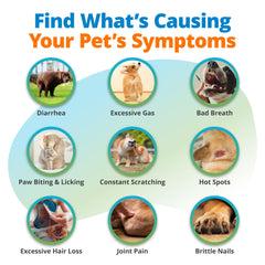 5Strands lab analysis process delivers thorough results for pets.