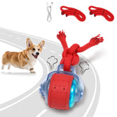Bentopal interactive dog ball in outdoor grass promotes active play.