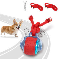 Bentopal interactive dog ball in outdoor grass promotes active play.