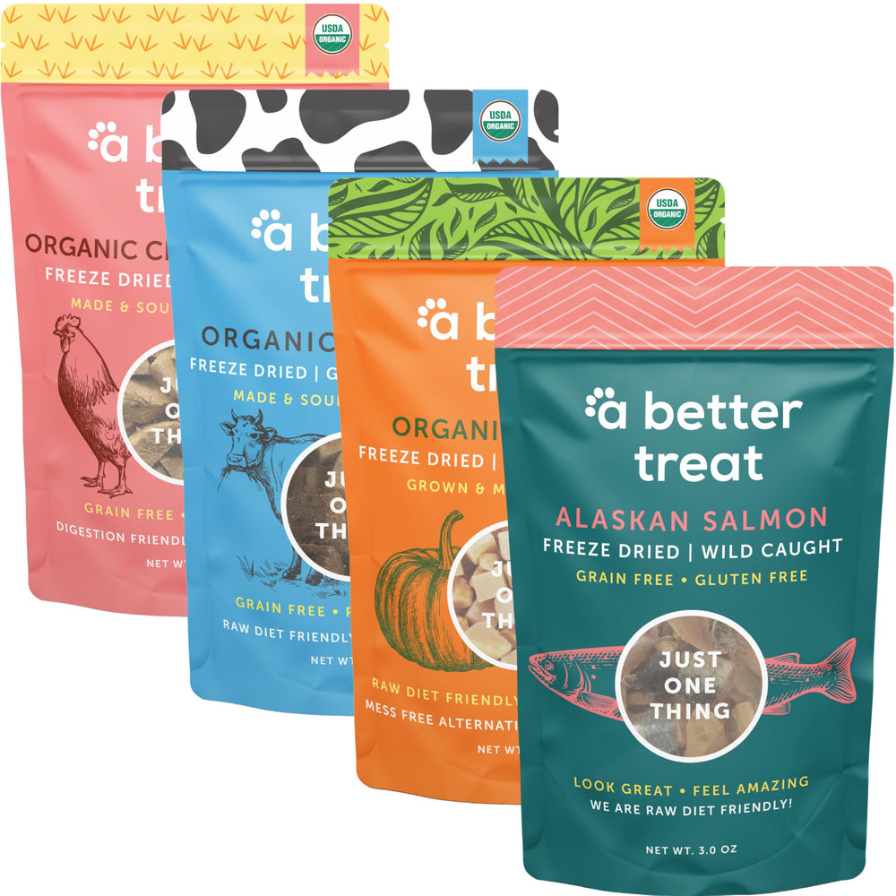 A Better Treat freeze-dried pumpkin dog treat for gentle digestion and flavor