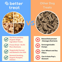 A Better Treat freeze-dried wild salmon dog treat for a shiny coat and taste