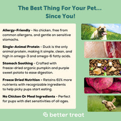 A Better Treat grain-free duck kibble designed for easier digestion.