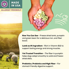A Better Treat grain-free formula with lamb protein supports gentle digestion.