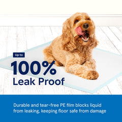 A World of Deals puppy pads bulk packaging 300-count demonstrates cost-effective training solution.