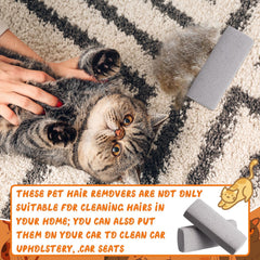 Abbylike car upholstery cleaning with pumice stone for fresh seats.