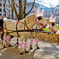 Abbylike pink horse bridle on horse for secure, stylish Easter dress-up