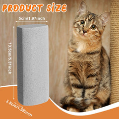 Abbylike pumice stone hair remover in hand capturing stubborn pet fur.