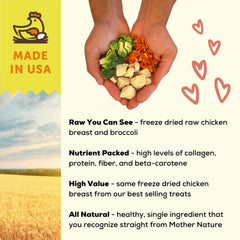 A Better Treat ingredients graphic showing chicken broccoli and carrots for clear food quality