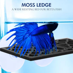 Abizoo Betta moss-ledge adds natural texture and a calming backdrop to your aquarium.