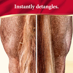 Absorbine ShowSheen detangling moment on mane and tail