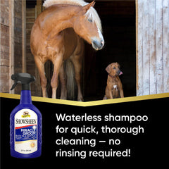 Absorbine ShowSheen Miracle Groom lifts dirt and brightens color without rinsing.