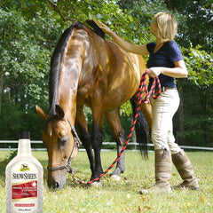 Absorbine ShowSheen being applied for radiant shine and smooth coat
