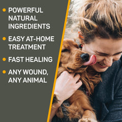 Absorbine Silver Honey ointment used on a catβs irritated skin