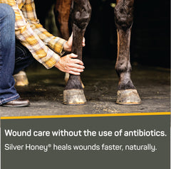 Absorbine Silver Honey Rapid Wound Repair MicroSilver BG visual emphasizes microbiome protection.