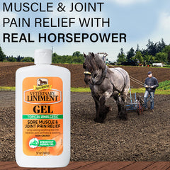 Absorbine Veterinary Liniment Menthol-scent gel helps relax joints during workouts