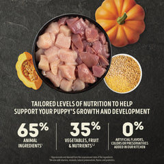 ACANA grains, fruits, and vegetables image emphasizes balanced nutrition.