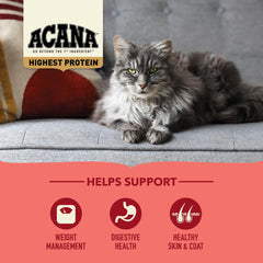 ACANA grain-free indoor cat food close-up highlights grain-free kibble texture.
