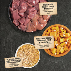 ACANA pumpkin ingredient feature emphasizes fiber-rich benefits.