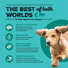 ACANA Wholesome Grains Puppy raw salmon visible as key protein source supporting development.