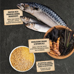 ACANA Wholesome Grains Sea to Stream grain blend with oats sorghum and millet.