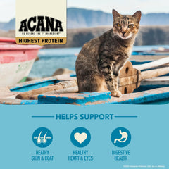 ACANA Wild Atlantic haddock kibble showcasing fish-forward recipe for variety.