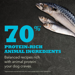 ACANA Wild Atlantic Recipe fish ingredients highlighting protein-rich sources.