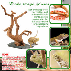 AceOrbit driftwood in aquarium setup offers natural hiding spots and aesthetic appeal.