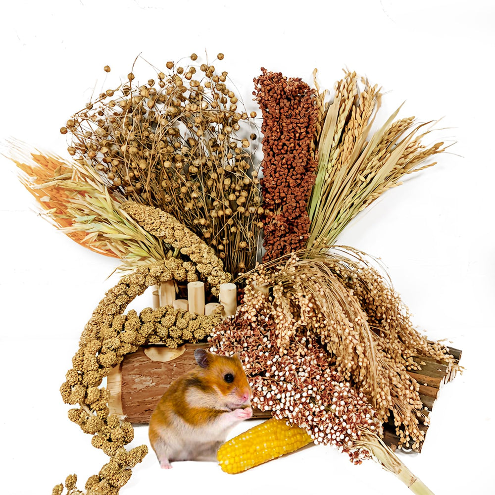 Acsist hamster flower herb habitat decor set adds natural color and enrichment to cages.