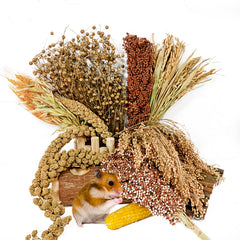 Acsist hamster flower herb habitat decor set adds natural color and enrichment to cages.