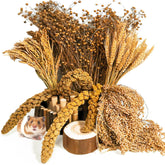 Acsist hamster grain herb habitat decor adds natural color for enriching cage aesthetics.