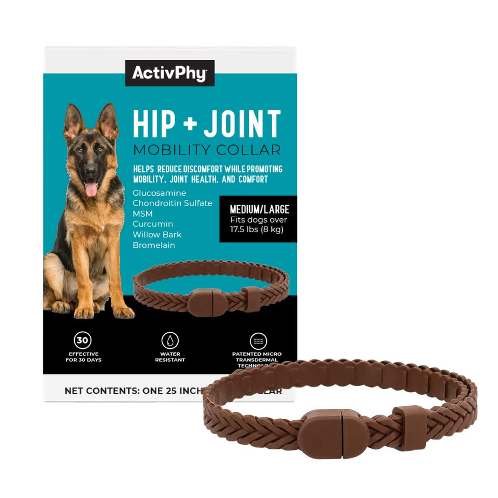 ACTIVPHY Hip and Joint Mobility Collar on a dog for easier movement.