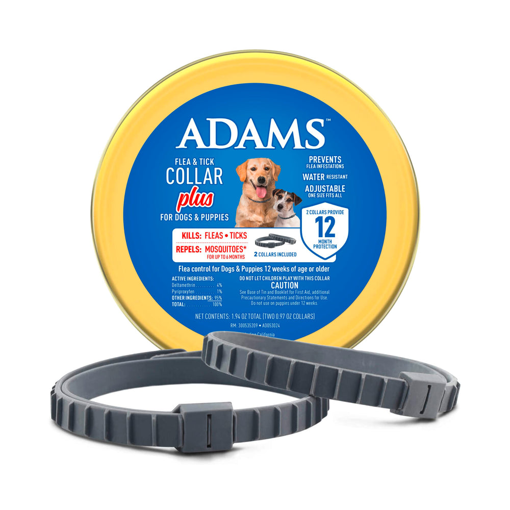 ADAMS Flea & Tick Collar Plus on a dog’s neck providing long-lasting flea and tick protection.