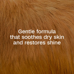 Dog being shampooed with ADAMS Plus Botanicals during bath.