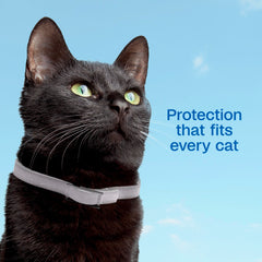 ADAMS Plus extended-release technology delivers protection gradually to coat and skin.