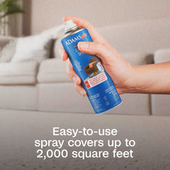 Close-up of spray killing fleas and ticks on a rug