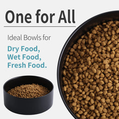 Addogyy 8-inch capacity bowl ideal for medium to large dogs.